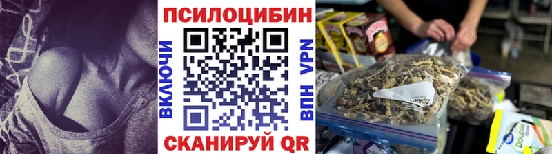 Псилоцибиновые грибы мицелий Красноуральск